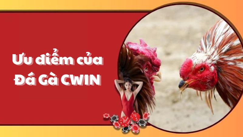 Ưu điểm của Đá Gà CWIN